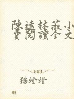 陈远林薇小说免费阅读全文最新章节