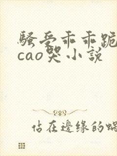 骚受乖乖跪趴被cao哭小说