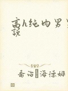 高h纯肉男男小说封面