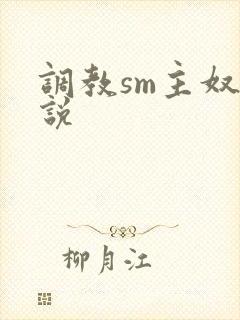 调教sm主奴小说封面