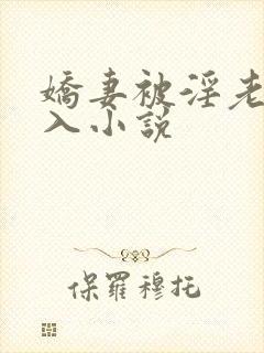 娇妻被淫老头进入小说