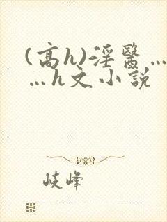 (高h)淫医……h文小说