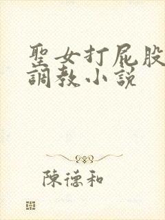 圣女打屁股sp调教小说封面