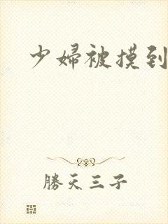 少妇被摸到高潮封面