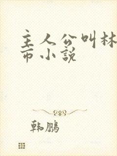 主人公叫林峰都市小说