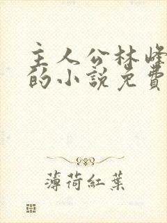 主人公林峰宁欣的小说免费阅读全文