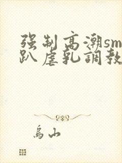 强制高潮sm跪趴虐乳调教小说