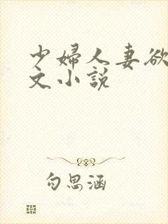 少妇人妻欲望辣文小说封面