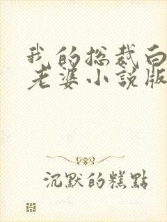 我的总裁白富美老婆小说版封面