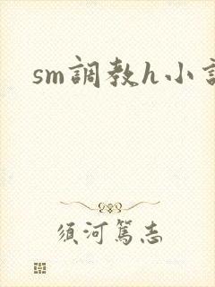 sm调教h小说