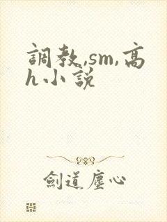 调教,sm,高h小说