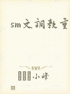 sm文调教重口