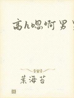 高h嗯啊男男