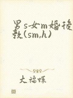 男s女m婚后调教(sm,h)