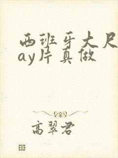 西班牙大尺度gay片真做