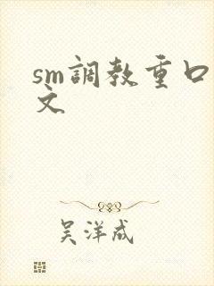 sm调教重口h文封面
