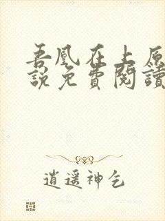 吾凰在上原著小说免费阅读封面