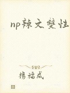 np辣文双性