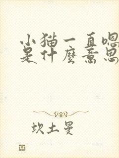 小猫一直嗯嗯嗯是什么意思