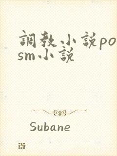 调教小说po文sm小说封面