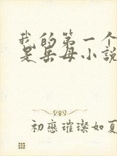 我的第一个女人是岳母小说封面