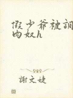 假少爷被调教成肉奴h