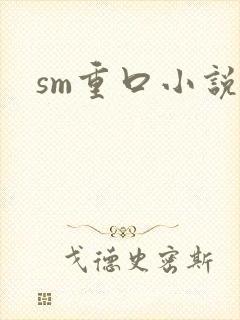 sm重口小说h