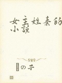 女主姓秦的穿越小说