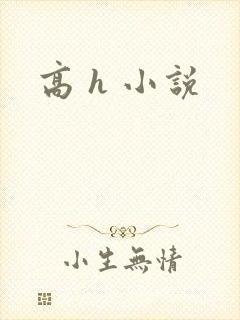 高 h 小说