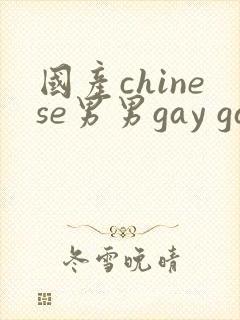 国产chinese男男gay gay视频网站