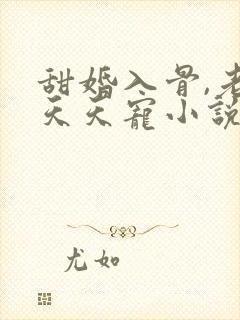 甜婚入骨,老公天天宠小说