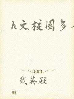 h文校园多人