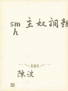 sm 主奴调教 h