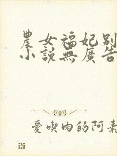 农女福妃别太甜小说无广告