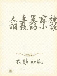 人妻暴露被别人调教的小说