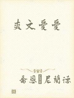 爽文爱爱