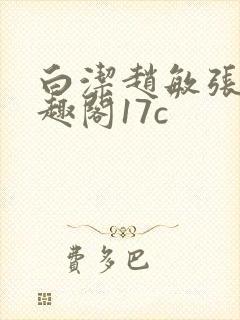 白洁赵敏张倩笔趣阁17c