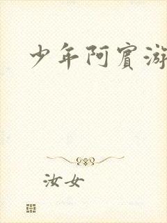 少年阿宾游园会