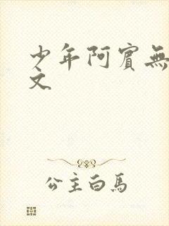 少年阿宾无删全文