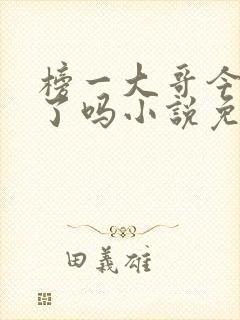 榜一大哥今天爱了吗小说免费阅读封面