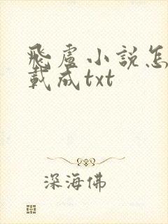 飞卢小说怎么下载成txt封面