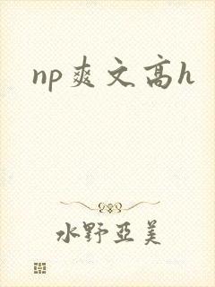 np爽文高h