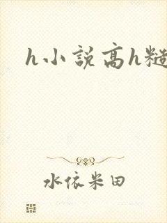 h小说高h糙汉