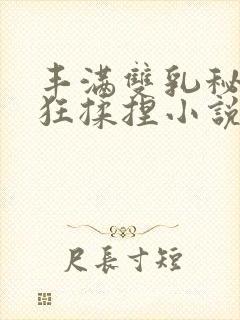 丰满双乳秘书被狂揉捏小说