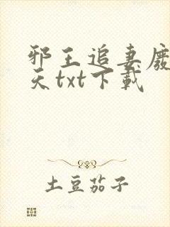 邪王追妻废材逆天txt下载