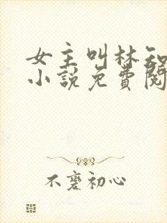 女主叫林知夏的小说免费阅读