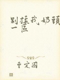 别揉我奶头嗯啊一区封面