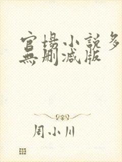 官场小说多女主无删减版封面