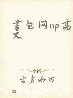 书包网np高辣文封面