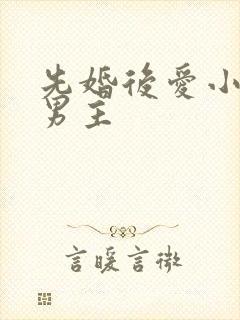 先婚后爱小说双男主